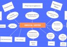 Medical Scientific Documentation Writing