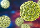 CURRENT SCENARIO OF MEDICAL MICROBIOLOGY