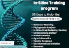 In-Silico Training Programs