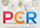 PCR Explained: A Critical Tool For Molecular Biology