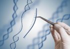 From Decades to Days :The Wild History of DNA Sequencing