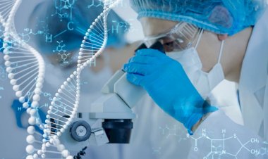 Identifying Unknown Strains Using 16S rRNA Gene Sequencing