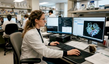 A Complete Roadmap to Become a Bioinformatician in 2026
