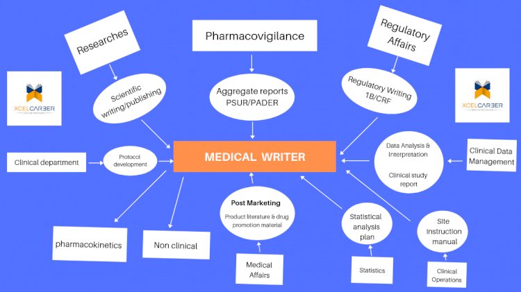 Medical Scientific Documentation Writing