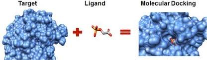 Advantages of Insilico Drug Discovery