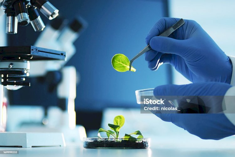 BIOTECHNOLOGY AND ITS SIGNIFICANCE IN CURRENT INDUSTRY