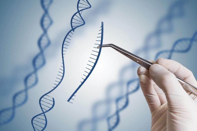 From Decades to Days :The Wild History of DNA Sequencing